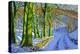 Green Trees, Winter, Dam Lane, Derbyshire-Andrew Macara-Premier Image Canvas