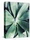 Green Tropical Succulent III-Irena Orlov-Premier Image Canvas