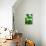Green Tropical Succulent V-Irena Orlov-Premier Image Canvas displayed on a wall