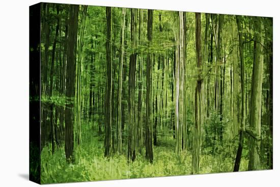 Green Vertically-Philippe Sainte-Laudy-Premier Image Canvas