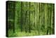 Green Vertically-Philippe Sainte-Laudy-Premier Image Canvas