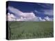 Green Wheat Field, Clouds, Agriculture Fruitland, Idaho, USA-Gerry Reynolds-Premier Image Canvas