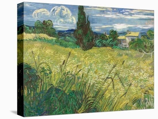 Green Wheat Field with Cypress-Vincent van Gogh-Premier Image Canvas