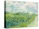 Green Wheat Fields, Auvers, 1890-Vincent van Gogh-Premier Image Canvas