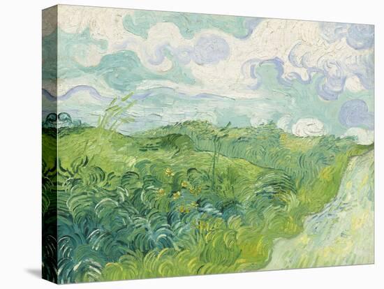 Green Wheat Fields, Auvers, by Vincent van Gogh, 1890, Dutch Post-Impressionist painting,-Vincent van Gogh-Stretched Canvas