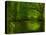 Green World-Irene Suchocki-Premier Image Canvas