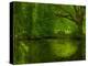 Green World-Irene Suchocki-Premier Image Canvas