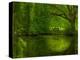 Green World-Irene Suchocki-Premier Image Canvas