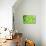 Green-Ursula Abresch-Premier Image Canvas displayed on a wall