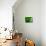 Green-Jeroen Van-Premier Image Canvas displayed on a wall