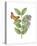Greenery Butterflies III-Wild Apple Portfolio-Stretched Canvas