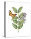 Greenery Butterflies III-Wild Apple Portfolio-Stretched Canvas