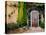 Greenery Surrounding Wooden Door, Provence, France-Tom Haseltine-Premier Image Canvas