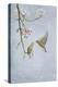 Greenfinch (Carduelis Chloris) Pair-Ben Hall-Premier Image Canvas