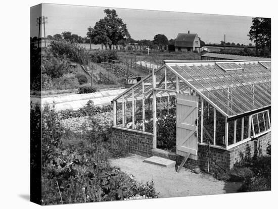 Greenhouse, Fox Ash-null-Premier Image Canvas