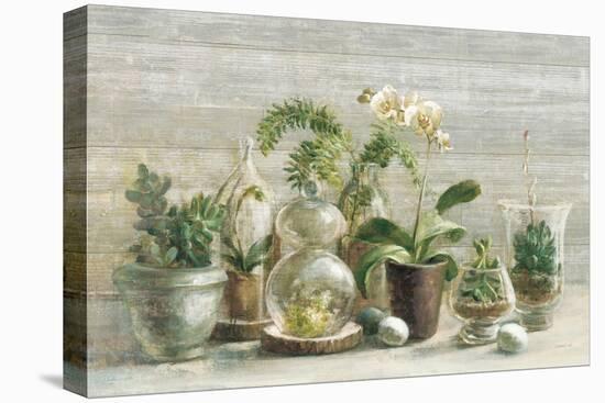 Greenhouse Orchids on Wood v2-Danhui Nai-Stretched Canvas