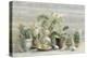 Greenhouse Orchids on Wood-Danhui Nai-Stretched Canvas