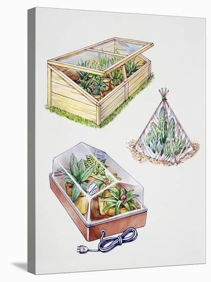 Greenhouse, Plastic Covering for Plants and Plant Propagation Box-null-Premier Image Canvas