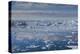 Greenland, Disko Bay, Ilulissat, Elevated View of Floating Ice-Walter Bibikow-Premier Image Canvas
