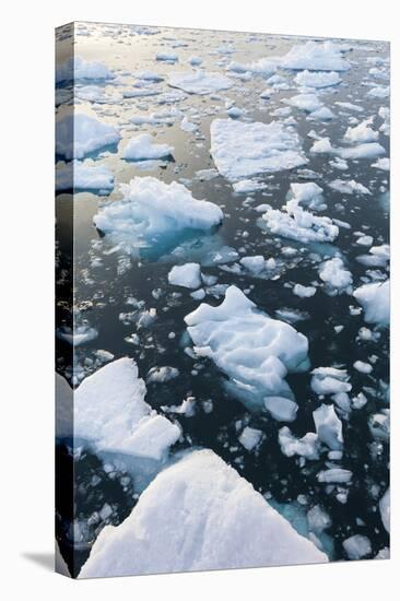 Greenland, Disko Bay, Ilulissat, Floating Ice at Sunset-Walter Bibikow-Premier Image Canvas
