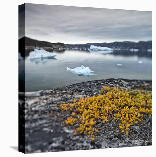 Greenland, Diskobay, Reefs, Sea with Icebergs-Luciano Gaudenzio-Premier Image Canvas