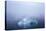 Greenland. Northeast Greenland National Park. Kong Oscar Fjord. Iceberg in dense fog.-Inger Hogstrom-Premier Image Canvas