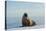 Greenland Sea, Norway, Spitsbergen. Walrus Rests on Summer Sea Ice-Steve Kazlowski-Premier Image Canvas