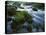 Greer Spring, Ozark National Scenic Riverways, Missouri, USA-Charles Gurche-Premier Image Canvas