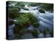 Greer Spring, Ozark National Scenic Riverways, Missouri, USA-Charles Gurche-Premier Image Canvas