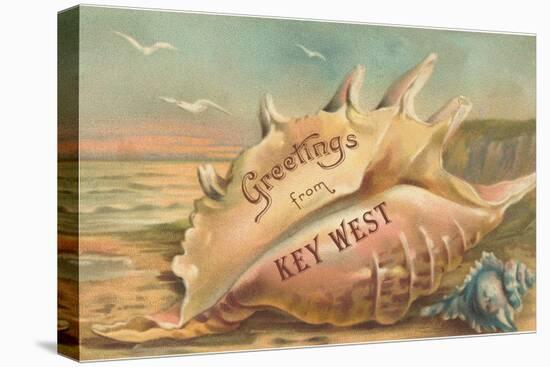 Greetings from Key West, Conch Shell-null-Stretched Canvas