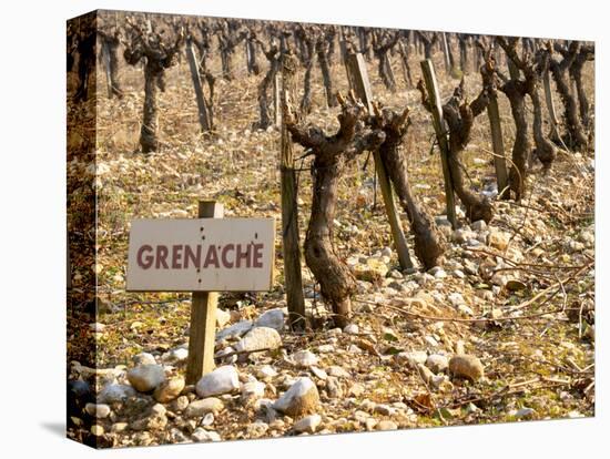Grenache Vines in Row and Sign at La Truffe De Ventoux Truffle Farm, Vaucluse, Rhone-Per Karlsson-Premier Image Canvas