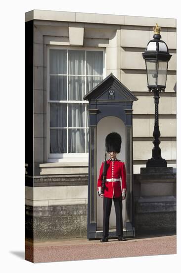 Grenadier Guardsman Outside Buckingham Palace, London, England, United Kingdom, Europe-Stuart Black-Premier Image Canvas