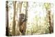 Grey Bamboo Lemur (Hapalemur), Lemur Island, Andasibe, Eastern Madagascar, Africa-Matthew Williams-Ellis-Premier Image Canvas