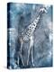 Grey Blue Giraffe-OnRei-Stretched Canvas