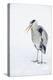 Grey Heron (Ardea Cinerea) on Ice, Beak Open, River Tame, Reddish Vale Country Park, Stockport, UK-Terry Whittaker-Premier Image Canvas