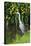 Grey Heron-Georgette Douwma-Premier Image Canvas