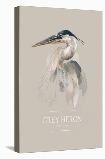 Grey Heron-Gabriella Roberg-Premier Image Canvas
