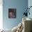 Grey Iris-Charles Rennie Mackintosh-Stretched Canvas displayed on a wall