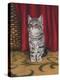 Grey Kitten and Red Curtain-Janet Pidoux-Premier Image Canvas