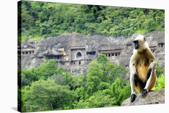 Grey langur monkey (Hanuman Langur) (Semnopithecus sp.) outside the Ajanta Caves, UNESCO World Heri-Alex Robinson-Premier Image Canvas