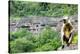 Grey langur monkey (Hanuman Langur) (Semnopithecus sp.) outside the Ajanta Caves, UNESCO World Heri-Alex Robinson-Premier Image Canvas