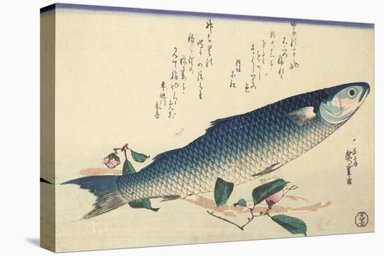 Grey Mullet, Camellia and Udo-Utagawa Hiroshige-Premier Image Canvas