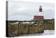 Grey seals (Halichoerus grypus) near Longstone lighthouse, Longstone Rock, Farne Islands, Northumbe-Ann and Steve Toon-Premier Image Canvas