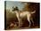 Grey Spotted Hound, 1738-John Wootton-Premier Image Canvas