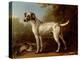 Grey Spotted Hound, 1738-John Wootton-Premier Image Canvas