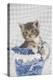Grey Tabby Kitten Sitting in China Jug-null-Premier Image Canvas