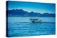 Grey Whales, Whale Watching, Magdalena Bay, Mexico, North America-Laura Grier-Premier Image Canvas