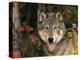 Grey Wolf Portrait, USA-Lynn M^ Stone-Premier Image Canvas