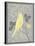 Grey & Yellow Bird III-Gwendolyn Babbitt-Stretched Canvas