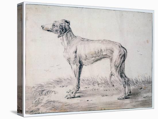 Greyhound, 1644-Cornelis Saftleven-Premier Image Canvas